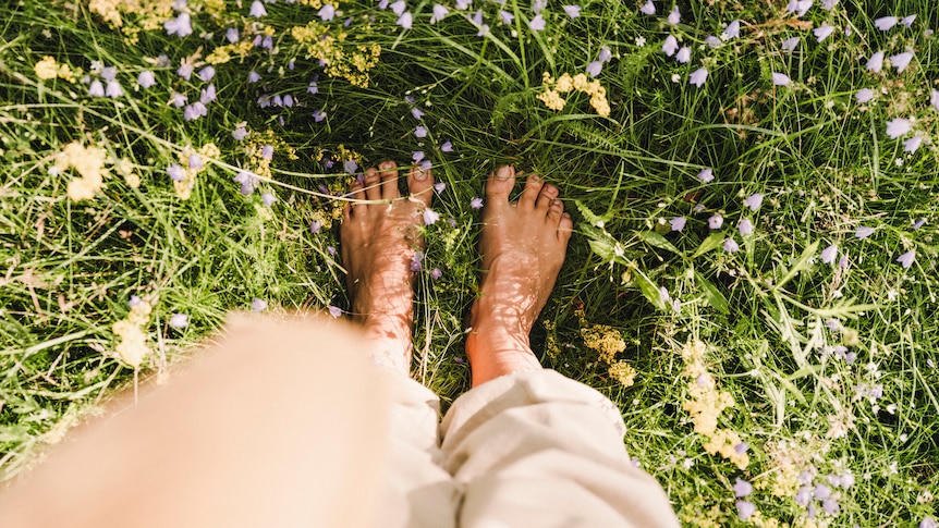 Bare feet standing on grass and wildflowers, illustrating grounding or earthing