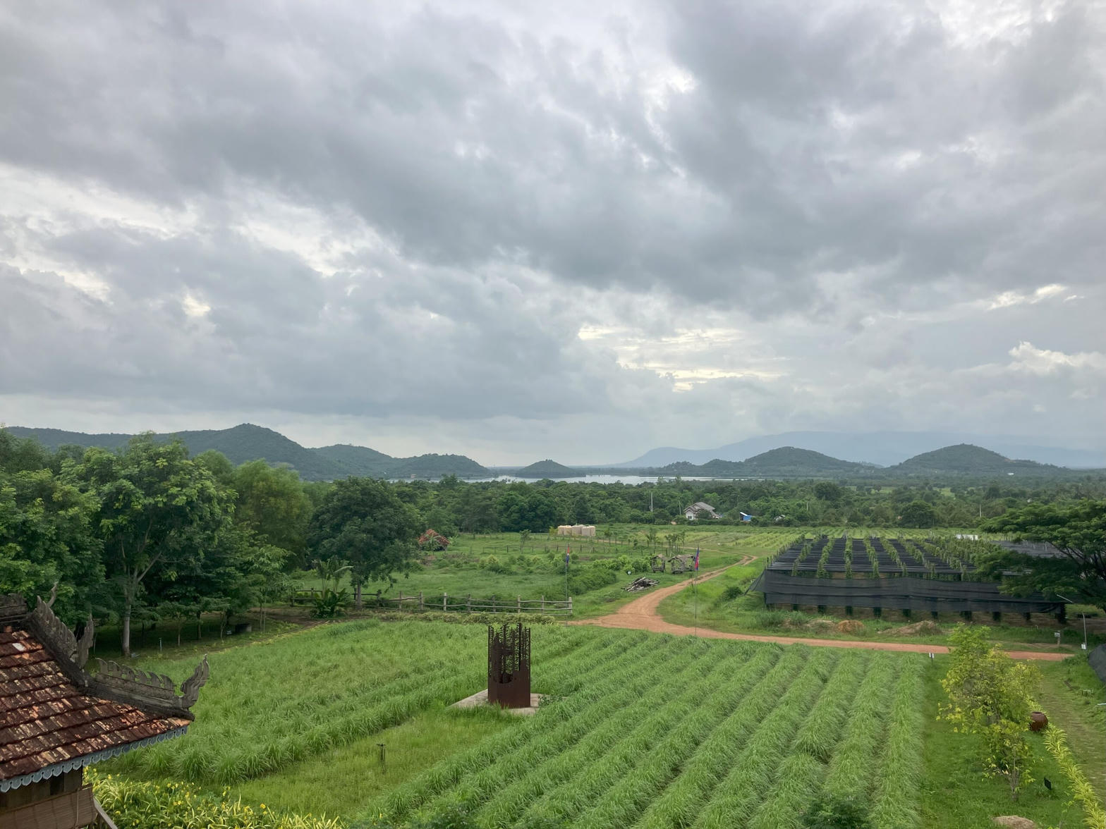 Kampot pepper plantation in southern Cambodia, with hills and the coastal plain behind
