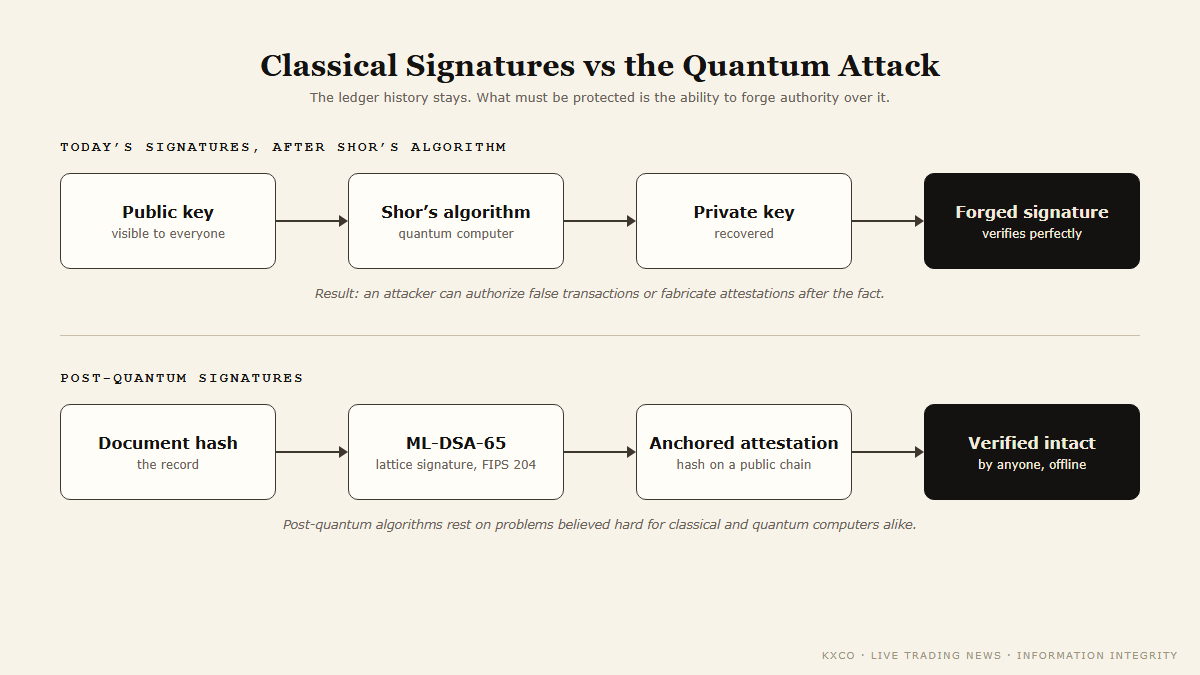 Classical signatures under quantum attack compared with post-quantum signatures