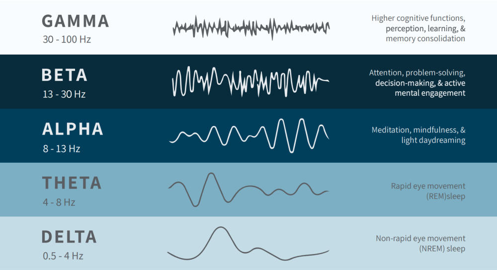 The five classical EEG bands, from delta at 0.5 to 4 Hz through gamma at 30 to 100 Hz