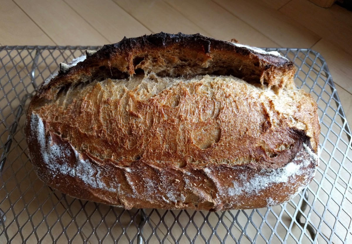 A dark-crusted whole-grain country sourdough loaf cooling on a wire rack, burst along the score